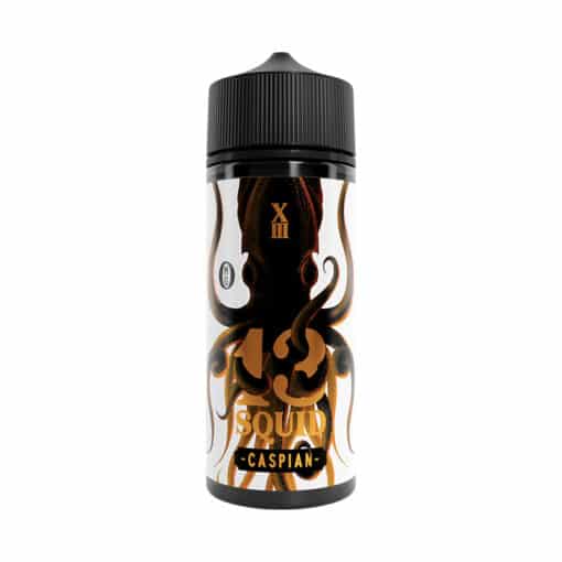 13 Squid E-Liquid - Caspian 100Ml